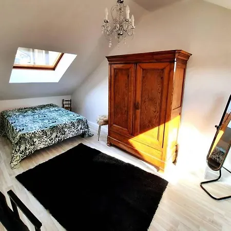 Le Vintage-duplex De 100 M2 4 Pers-centre-parking Privé * Gérardmer