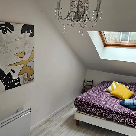 Apartment Duplex De 120 M2 7 Pers-centre-parking Prive